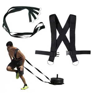 Sιταγέας εκγύμνασης για σλέιγκ με βάρος Insportline SledMaster image-2