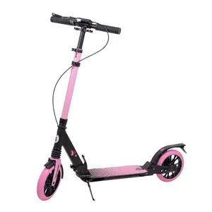 Scooter Insportline Discoleta