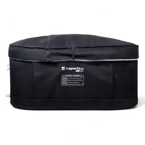 Basketball hoop Insportline FrostPeace