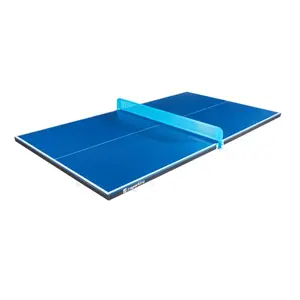 Table tennis de table Insportline Outdoor 100 (x2) image-0