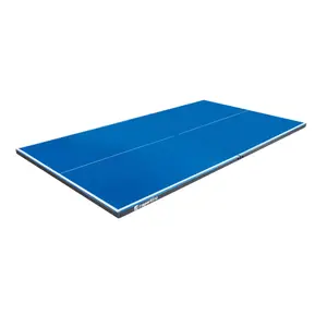 Table tennis de table Insportline Outdoor 100 (x2) image-1