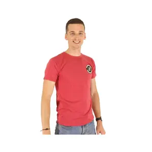 T-shirt Inspyre Icon Vintage Heather image-0