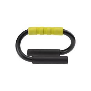 Pega IQ Intelligence Quality Rickup II image-1