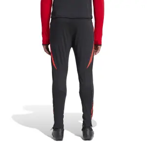 Pantaloni da allenamento Belgio Euro 2024 image-2