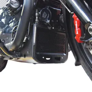 Kølerbeskyttelse til motorcykel Isotta Guzzi MGX21 1400 image-1
