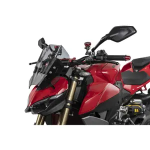 Bulle moto Isotta Racing Sport Ducati Streetfighter V2 image-1
