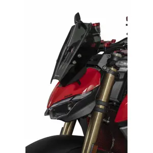 Bulle moto Isotta Racing Sport Ducati Streetfighter V2 image-1