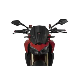 Bulle moto Isotta Racing Sport Ducati Streetfighter V2 image-0