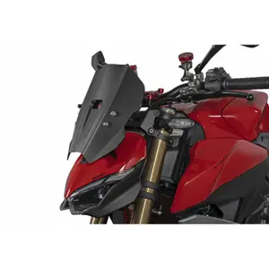 Bulle moto Isotta Racing Sport Ducati Streetfighter V2 image-1