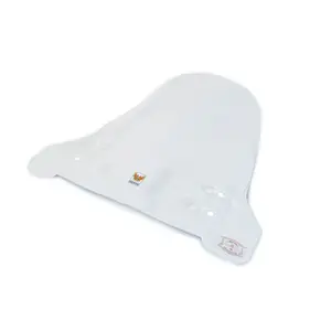 Pare-brise moto Isotta Segway E125 S image-1