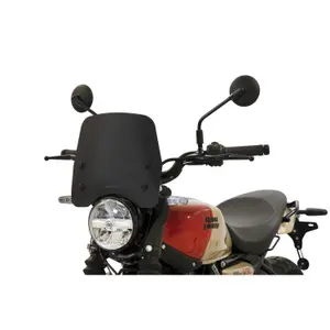 Bulle Motorrad Isotta Royal Enfield Guerrilla 450 FS image-0