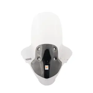 Parabrisas para scooter Isotta Honda PCX 125 2009 - 2013 image-0