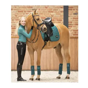 Paardenpolo band LeMieux Loire image-1