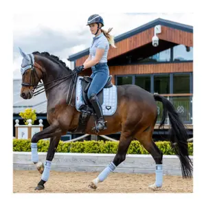 Paardenpolo band LeMieux Loire image-2