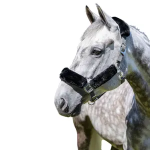 Licol pour cheval LeMieux Comfort image-1