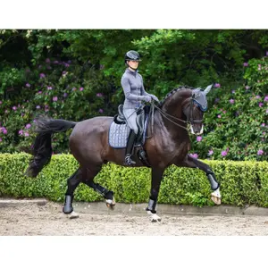 Dressage saddle pad  LeMieux Loire Classic image-2