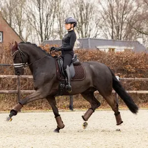 Dressurmåtter til heste LeMieux Crystal image-1