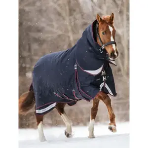 Outdoor horse blanket LeMieux Kudos 350g image-1