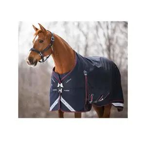 Outdoor horse blanket LeMieux Kudos 350g image-2