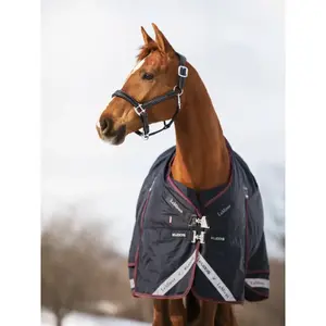 Outdoor horse blanket LeMieux Kudos 350g image-3
