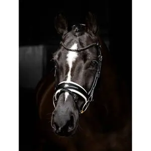 Dressage bridles LeMieux Kudos Patent image-2