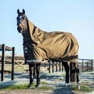 Waterproof  Blanket with neck cover LeMieux Arika Ripstop 100g image-2