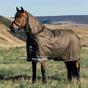 Waterproof  Blanket with neck cover LeMieux Arika Ripstop 100g image-3