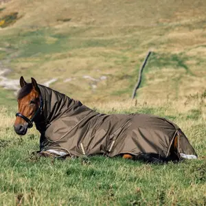 Waterproof  Blanket with neck cover LeMieux Arika Ripstop 100g image-4