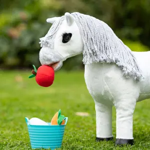 Κουβάς για λιχουδιές για λούτρινα LeMieux Toy Pony image-3