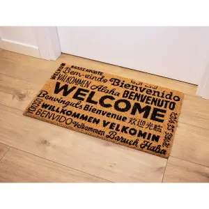 Zerbino iTotal Welcome image-0