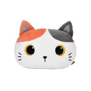 Oreiller plat iTotal Orange Cat image-0