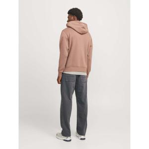 Loose Jeans Jack & Jones Eddie Worker MF 140 image-3