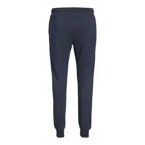 Joggingbukser Jack & Jones Gordon Archive Regular Fit image-2