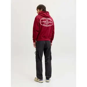 Cargo broek Jack & Jones Kane Dover image-4