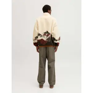 Chino Trousers Jack & Jones Evan Detroit image-3