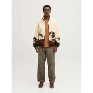 Chino Trousers Jack & Jones Evan Detroit image-4