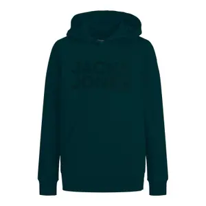 Jack & Jones Corp Kids Hoodie image-0