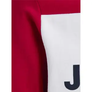 Sweater met grote capuchon Jack & Jones Logo Blocking image-6