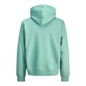 Hoodie Jack & Jones Star Basic image-1