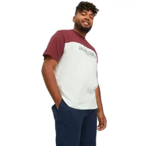 T-shirt groot Jack & Jones Dan Blocking image-4