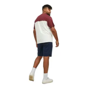 T-shirt groot Jack & Jones Dan Blocking image-3