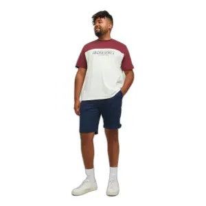 T-shirt groot Jack & Jones Dan Blocking image-2