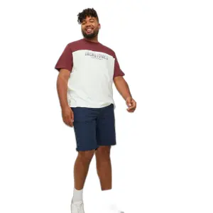 T-shirt groot Jack & Jones Dan Blocking image-1