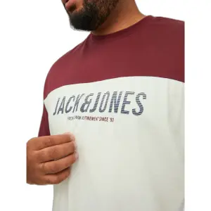 T-shirt groot Jack & Jones Dan Blocking image-5