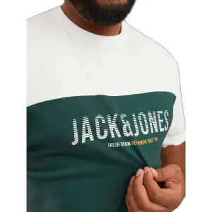 T-shirt groot Jack & Jones Dan Blocking image-5