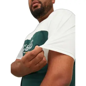 T-shirt groot Jack & Jones Dan Blocking image-6