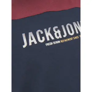 Child's T-shirt Jack & Jones Dan Blocking image-5