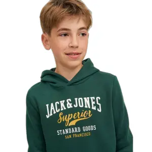 Child hoodie Jack & Jones Logo 2 image-5