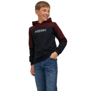 Child hoodie Jack & Jones Dan Blocking image-0