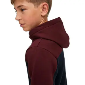 Child hoodie Jack & Jones Dan Blocking image-6